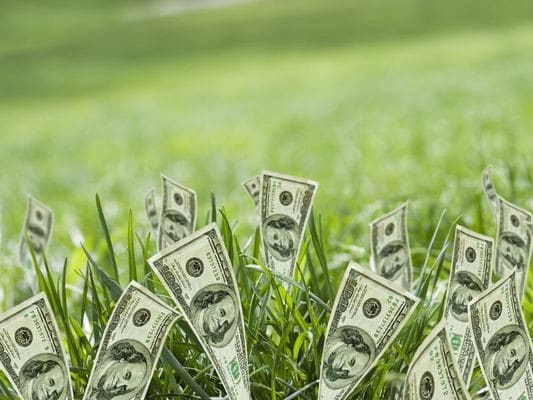 growing-money